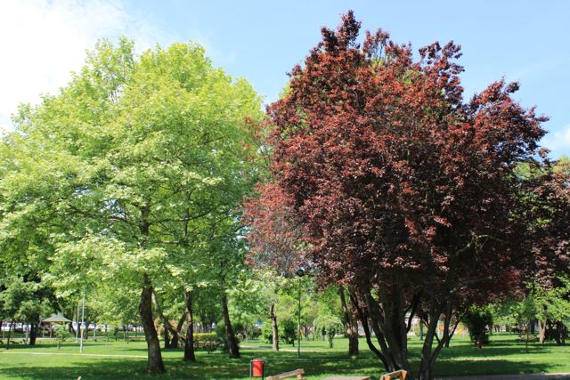Bolu fotoğrafı